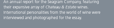 Annual Report for the Seagram Company